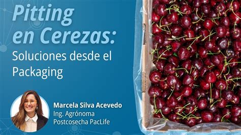 Esquema de los daños mecánicos