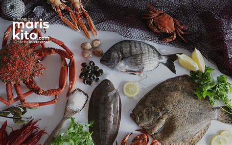 Fotografía profesional de una selección de mariscos y pescados de alta gama listos para distribución
