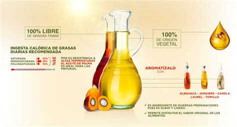 Esquema: Diferencias entre Aceite de Palma y Aceite de Girasol Alto Oleico