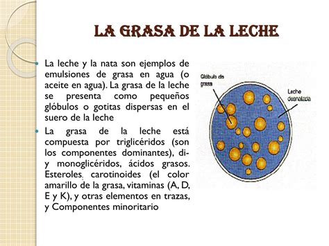Comparativa del tamaño de los glóbulos de grasa de diferentes tipos de leche (vaca, cabra, oveja) en un gráfico o esquema