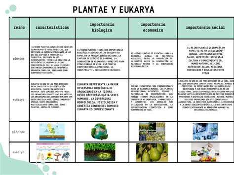 Tabla comparativa de plantas utilizadas en la ayahuasca y sus principios activos