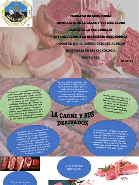 Infografía que muestra la variedad de formatos de carne y sus necesidades específicas de envasado