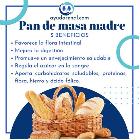 Esquema de los beneficios de la masa madre sin gluten en la panadería sin gluten
