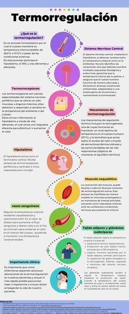 Infografía: Mecanismo de los escalofríos y la fiebre