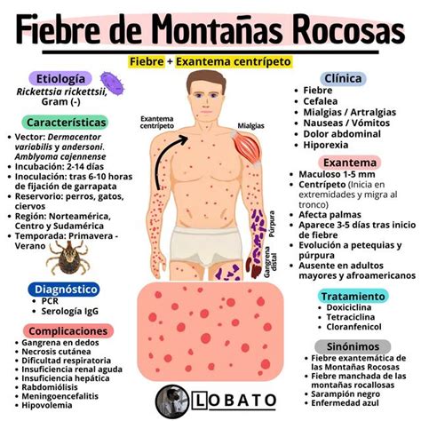 Sarpullido de fiebre moteada de las Montañas Rocallosas en mano y muñeca