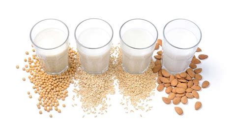 infografía con fuentes de sustitutos lácteos como leche de coco, almendras y soya