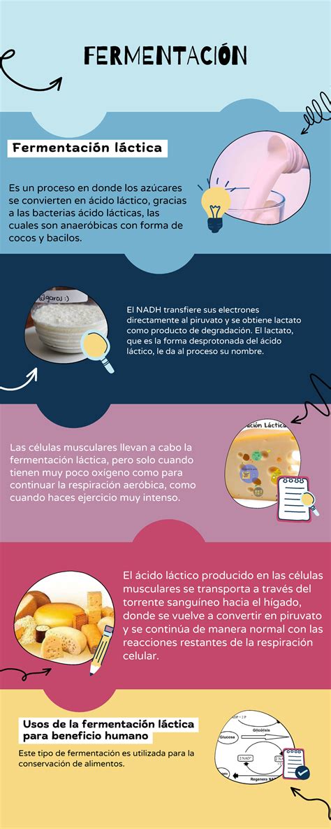 Infografía que muestra el proceso de fermentación láctica y los ingredientes base para la elaboración del yogur.