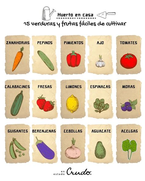 Ilustración de diferentes verduras que se pueden usar en tartas saladas.