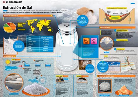 Infografía del proceso de extracción de sal en salinas marinas desde la captación del agua hasta el secado