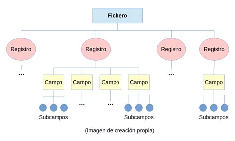 Esquema gráfico que representa la estructura de registros de patentes comerciales y su clasificación sectorial.