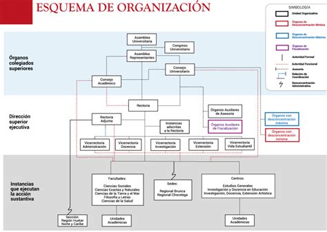 Esquema de organización de una bandeja de horno con vegetales y proteína