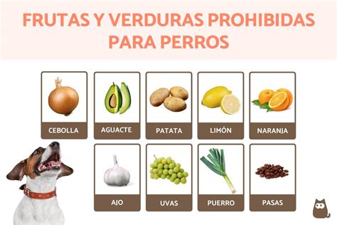 Tabla comparativa de frutas y verduras seguras vs. tóxicas para perros.
