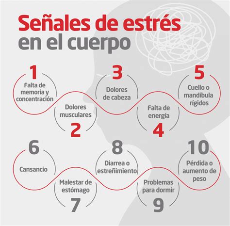 Esquema de los efectos del estrés crónico en el cuerpo humano