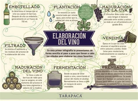 Infografía sobre el proceso de elaboración de vino casero