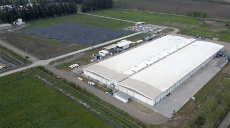 instalaciones de la planta productora de champiñones 