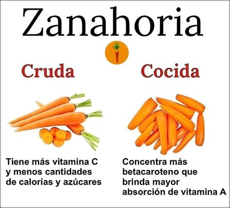 Esquema comparativo de la digestión: zanahoria cruda frente a zanahoria cocida en el sistema digestivo humano