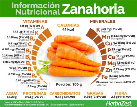 Infografía sobre los nutrientes de la zanahoria y su impacto en diferentes órganos del cuerpo