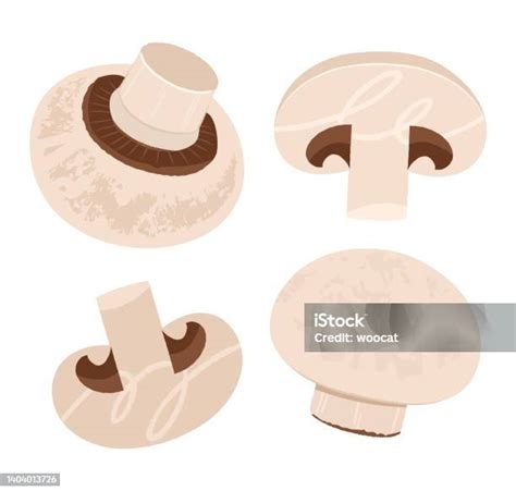 Ilustración de champiñones frescos y congelados