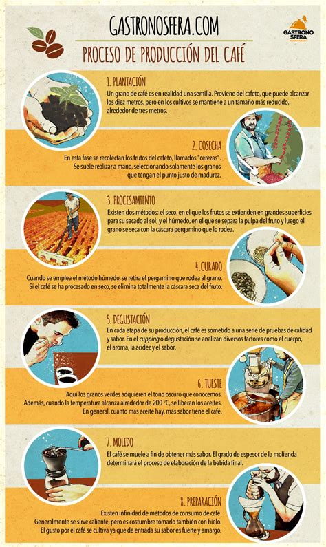 Infografía general del proceso de producción de empanadas.