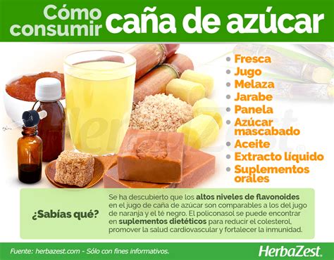 Infografía mostrando los diversos usos y subproductos de la caña de azúcar.
