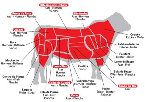 Ilustración técnica que muestra los cortes de carne de res, destacando el hígado y otros órganos