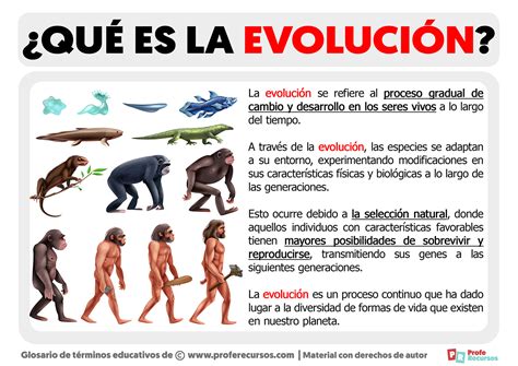 Esquema histórico que muestra la evolución del pan plano mediterráneo hacia la pizza moderna tras la llegada del tomate a Italia.