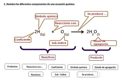 Esquema básico de los componentes de una salsa: vegetales, líquidos, especias y agentes espesantes