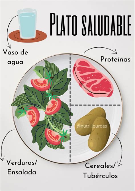 Esquema visual de los componentes de una ensalada balanceada: verduras, proteínas, grasas saludables, aderezo.