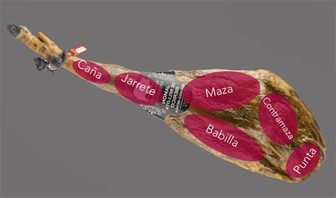 Esquema de las partes del jamón destacando la zona del tocino y su utilidad culinaria