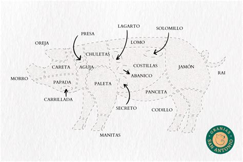 Esquema de las piezas de carne de chivo ideales para horno y cocción al ajillo