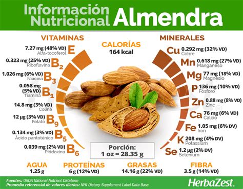 Esquema nutricional destacando el contenido de vitamina E, grasas saludables y minerales de la almendra.