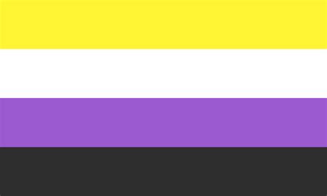 Bandera del orgullo no binario de Kye Rowan