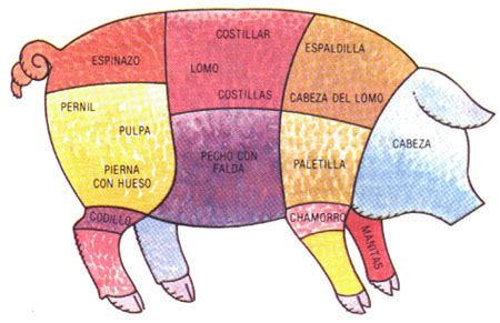 Esquema de los cortes del cerdo, destacando la pierna o jamón.