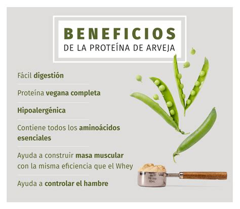 Esquema nutricional comparativo de las arvejas mostrando sus niveles de almidón resistente, fibra y proteínas vegetales.