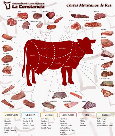 Diagrama de los cortes de carne recomendados para bistec