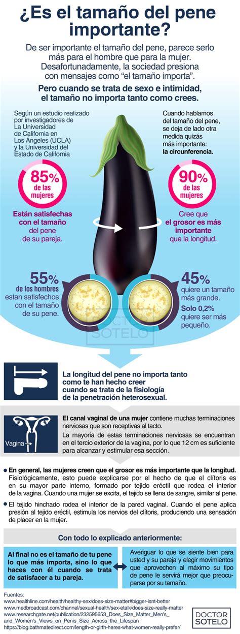 Infografía comparativa: promedio de longitud y circunferencia del pene en estado flácido y erecto según estudios científicos.