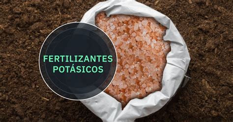 Tabla comparativa de diferentes tipos de fertilizantes potásicos y su efecto en el rendimiento y contenido de almidón de la patata.