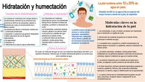 Esquema comparativo entre hidratación (aporte de agua) y humectación (retención de agua) en la piel