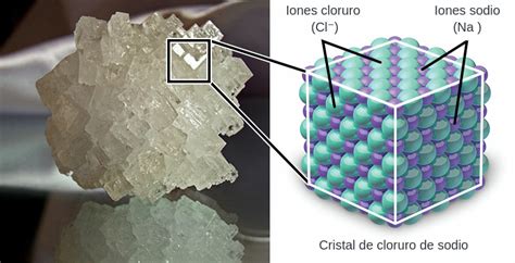 Microfotografía de cristales de sal, mostrando su estructura geométrica.
