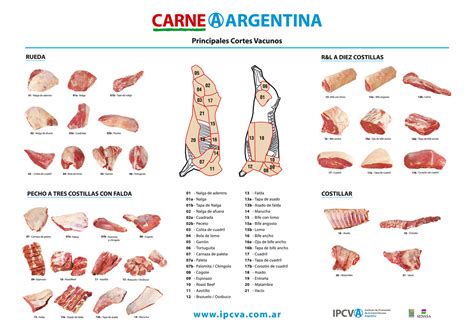 infografía mostrando cortes de carne vacuno y porcino ideales para sándwiches a la plancha