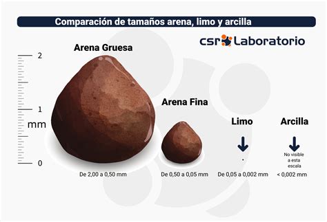 Infografía comparativa: