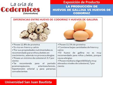 Infografía comparativa nutricional entre huevos de codorniz y de gallina
