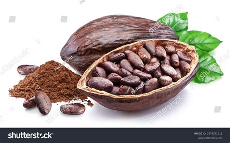 Primer plano de un grano de cacao blanco y un grano de café tostado.