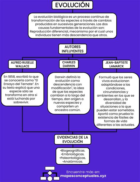 Esquema de la evolución del concepto de blasfemia a través de las eras