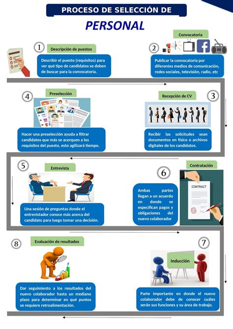 Infografía sobre el proceso de selección de ingredientes sostenibles y naturales en laboratorios