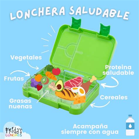 Imagen de una lonchera saludable decorada con elementos naturales para simular la era Mesozoica