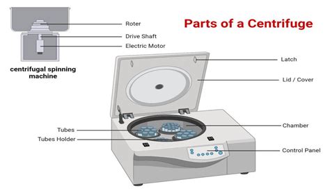 Diagrama esquemático de una centrífuga de laboratorio mostrando sus componentes principales: rotor, motor, cámara de centrifugación y controles.
