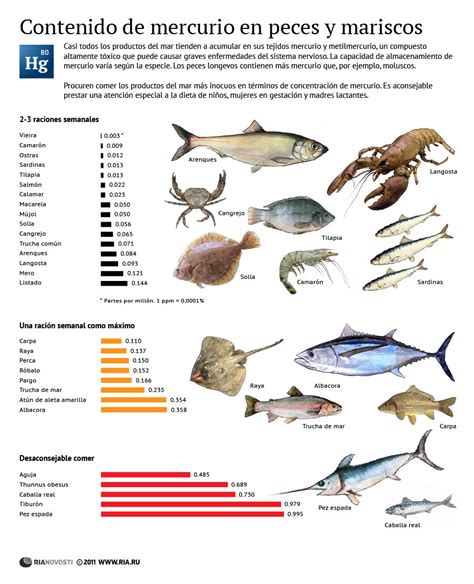 infografía comparativa de niveles de mercurio en diferentes tipos de pescado