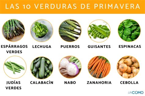 Ilustración detallada de los nutrientes presentes en una variedad de verduras utilizadas en sopas.