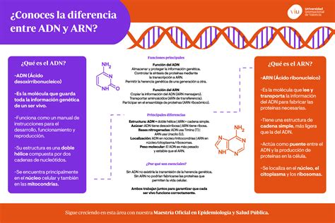 Infografía explicando el proceso de comparación de ADN y la identificación de concordancias familiares.